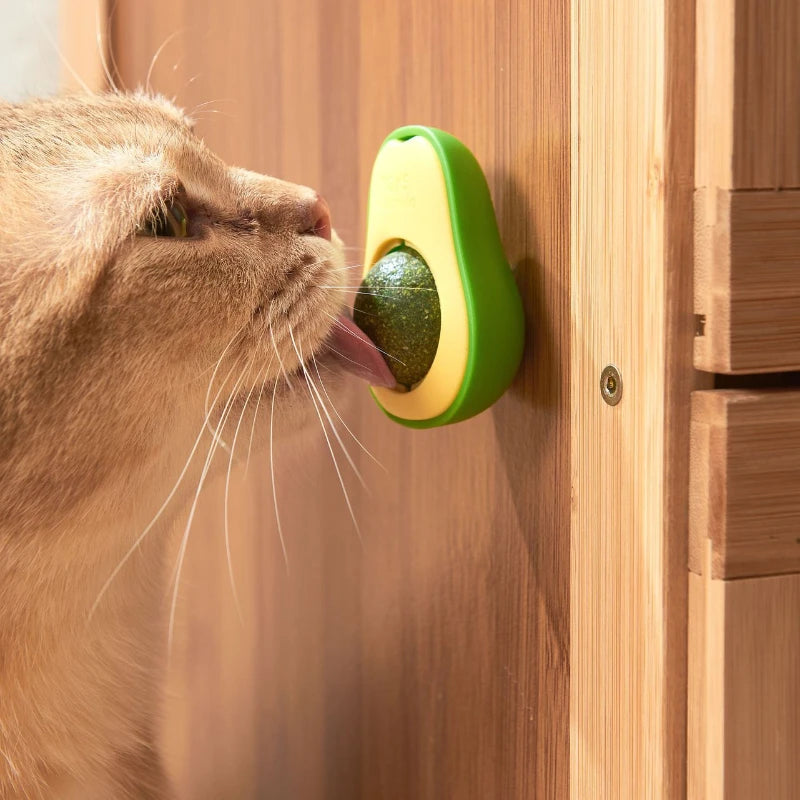 Avocado Catnip Ball Toy – Rotating Wall-Mounted Cat Treat