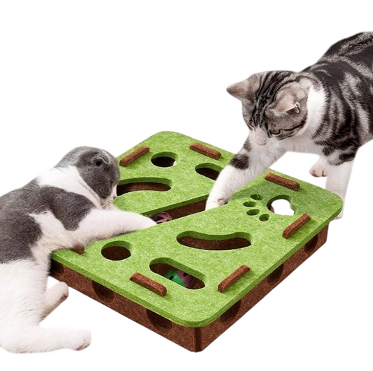 Amor Interactive Cat Toy – Scratcher, Playhouse & Ball Launcher